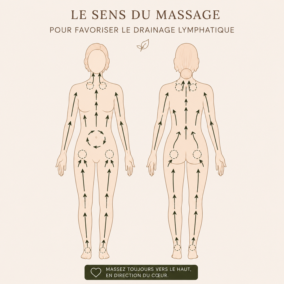 Brosse de massage anti-cellulite – Une peau visiblement plus lisse en seulement 3 minutes par jour